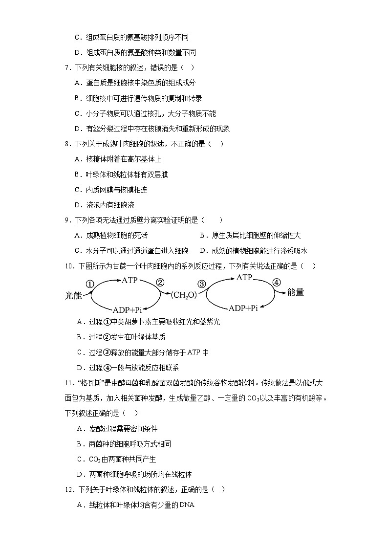 天津市和平区2022-2023学年高一下学期高中学业水平合格性模拟考试生物试题（含解析）02