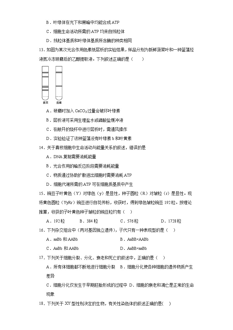天津市和平区2022-2023学年高一下学期高中学业水平合格性模拟考试生物试题（含解析）03