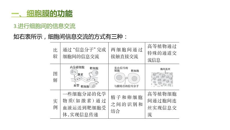 高中生物人教版（2019）必修1第三章3.1《细胞膜的结构和功能》课件第6页