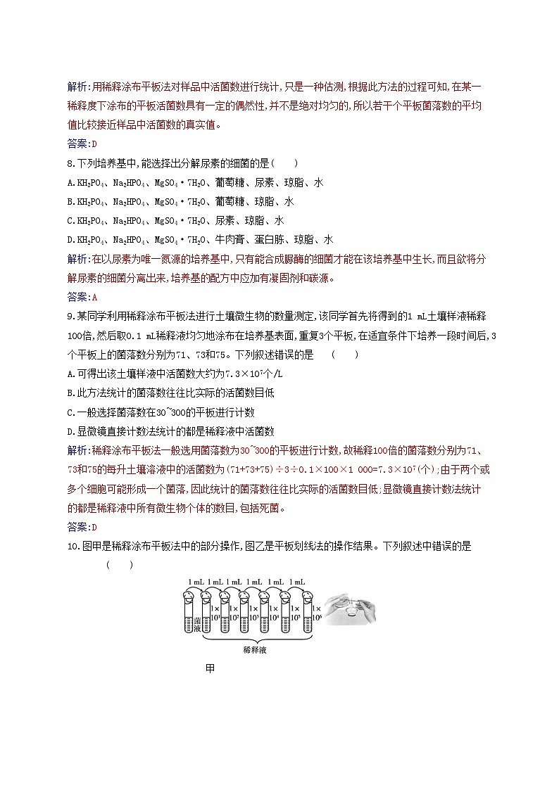 新教材2023高中生物第1章发酵工程第2节微生物的培养技术及应用第2课时微生物的选择培养和计数同步测试新人教版选择性必修303