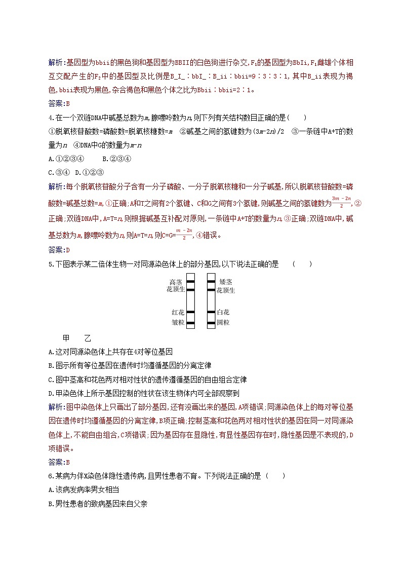 新教材2023高中生物综合质量评估新人教版必修2第2页