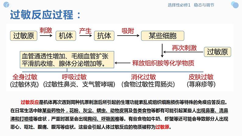 4.4 免疫功能异常引发的疾病（课件）-2023-2024高二生物同步精品课堂（沪科版选择性必修1）06