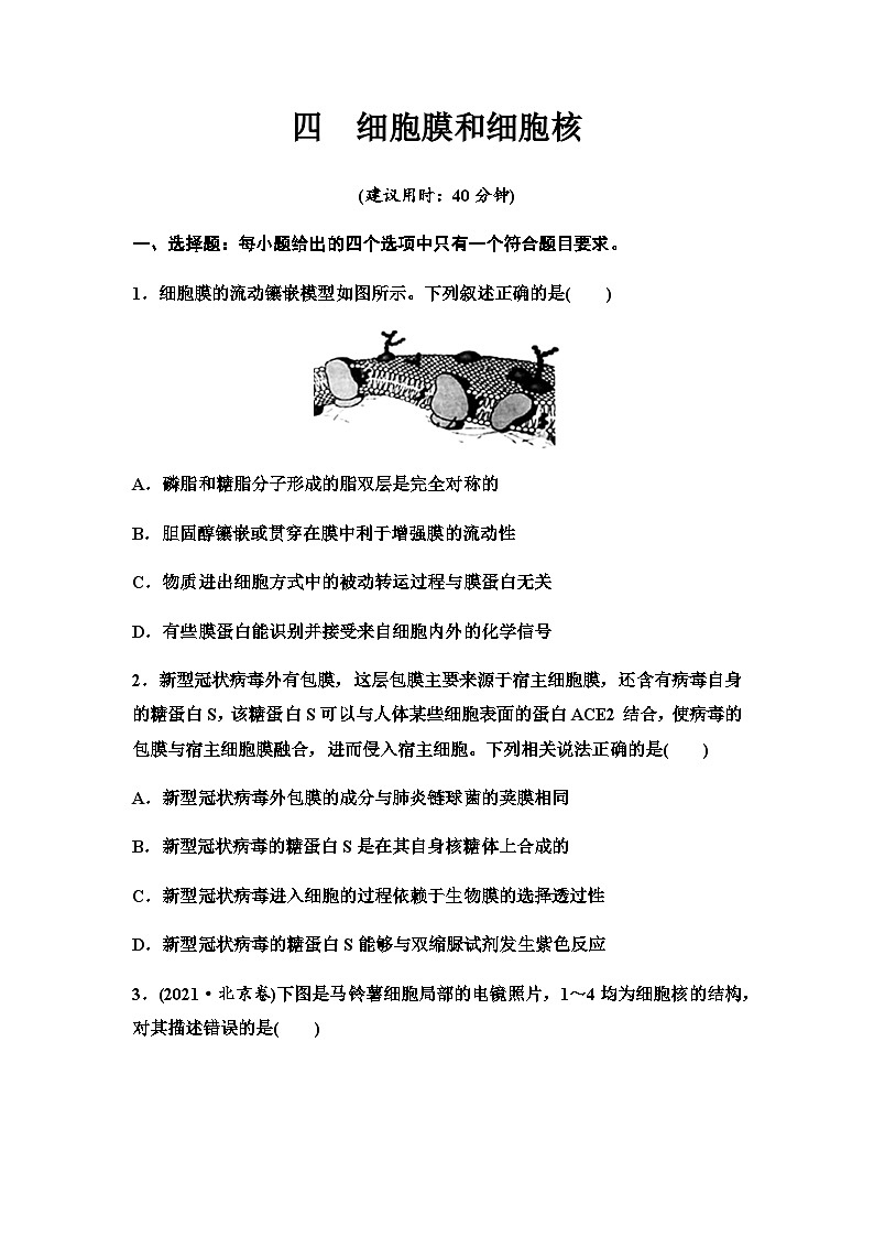 2024届高考生物一轮复习4细胞膜和细胞核课时质量评价第1页