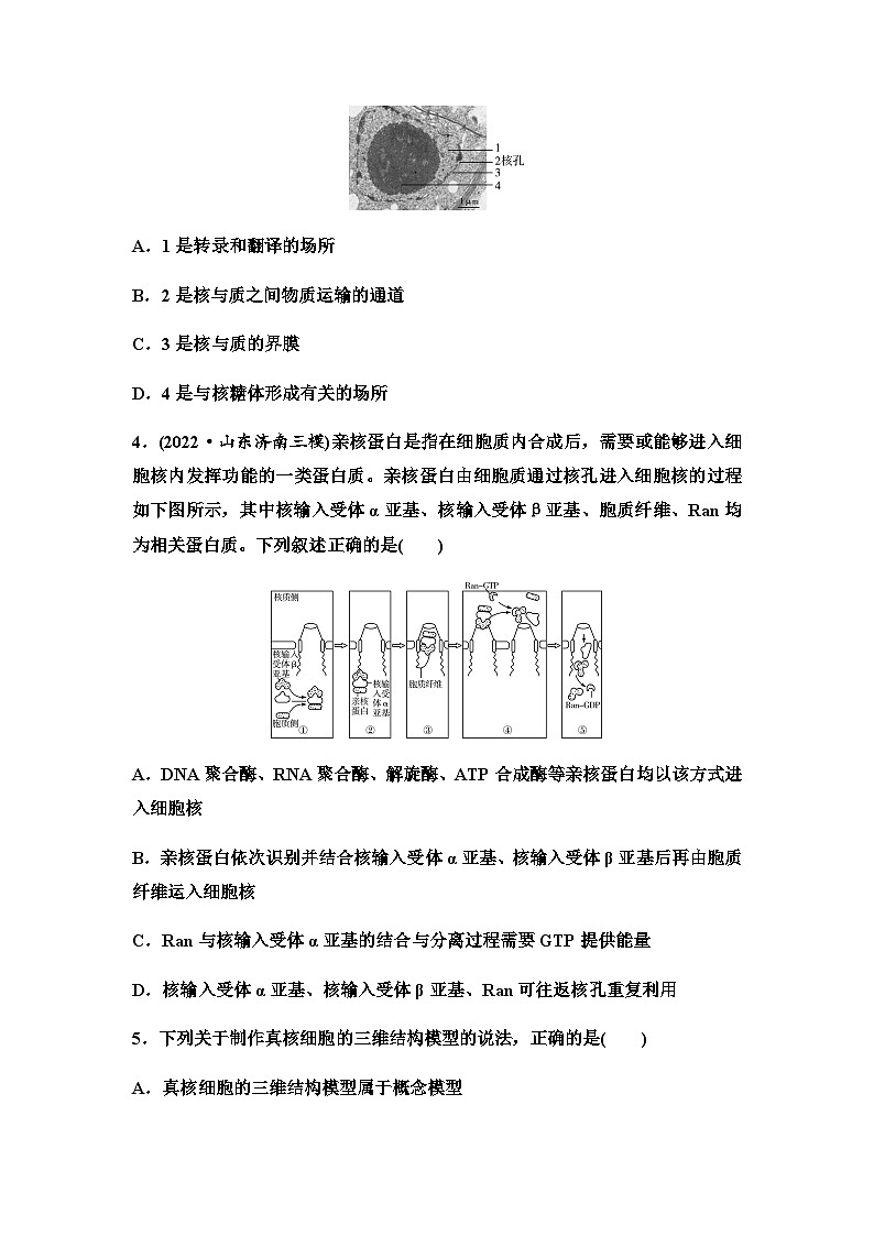 2024届高考生物一轮复习4细胞膜和细胞核课时质量评价第2页