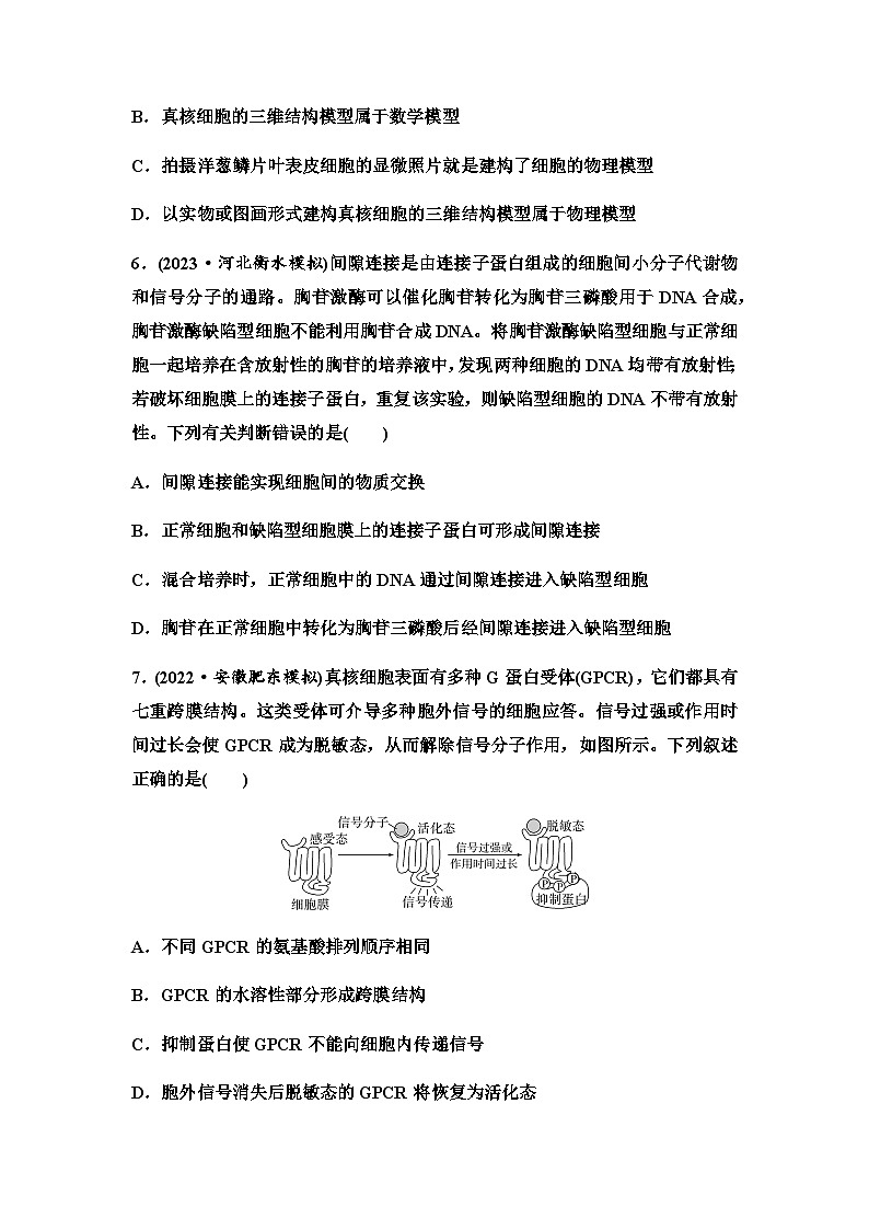 2024届高考生物一轮复习4细胞膜和细胞核课时质量评价第3页
