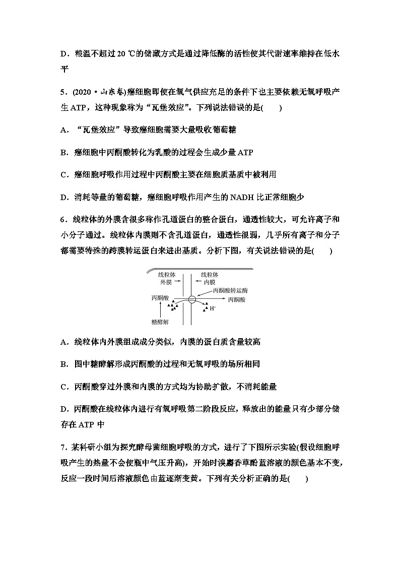 2024届高考生物一轮复习8细胞呼吸的原理和应用课时质量评价第3页