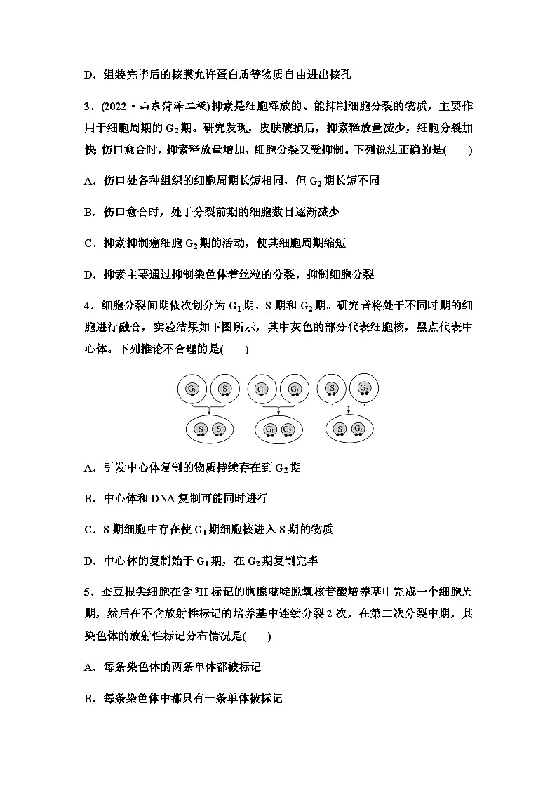 2024届高考生物一轮复习11细胞的增殖课时质量评价+参考答案 试卷02