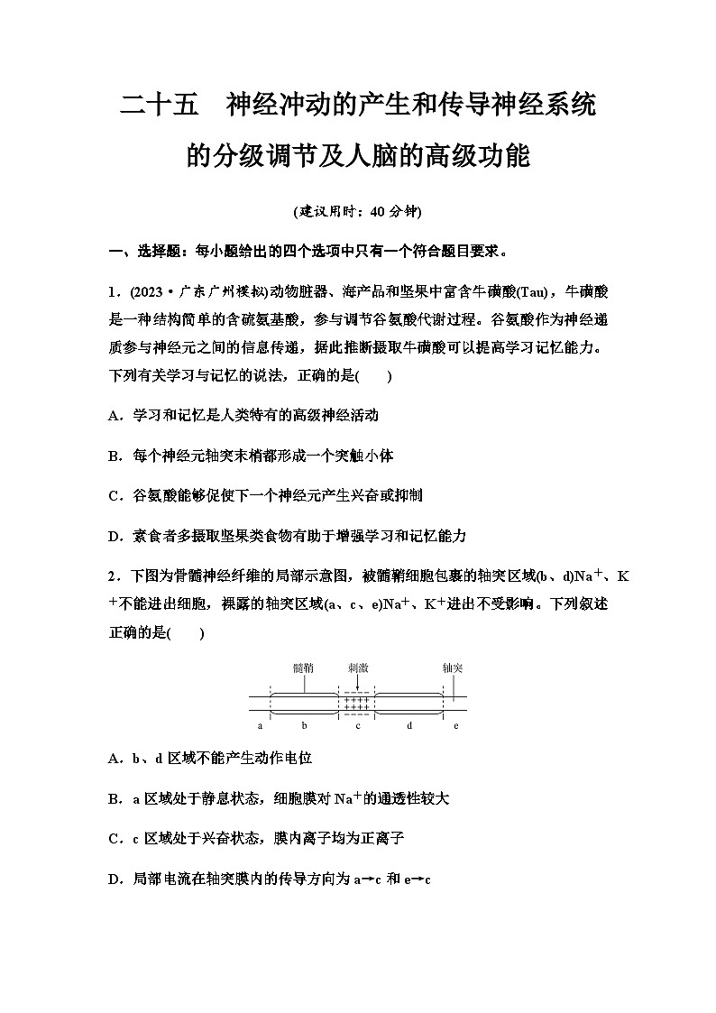 2024届高考生物一轮复习25神经冲动的产生和传导神经系统的分级调节及人脑的高级功能课时质量评价+参考答案 试卷01