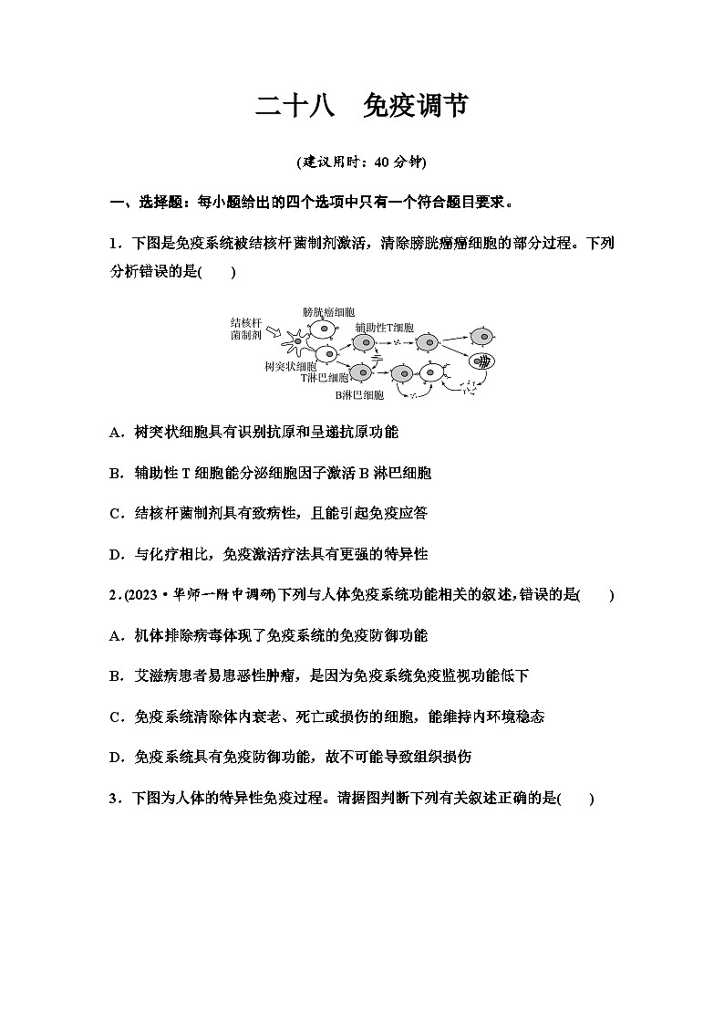 2024届高考生物一轮复习28免疫调节课时质量评价+参考答案 试卷01