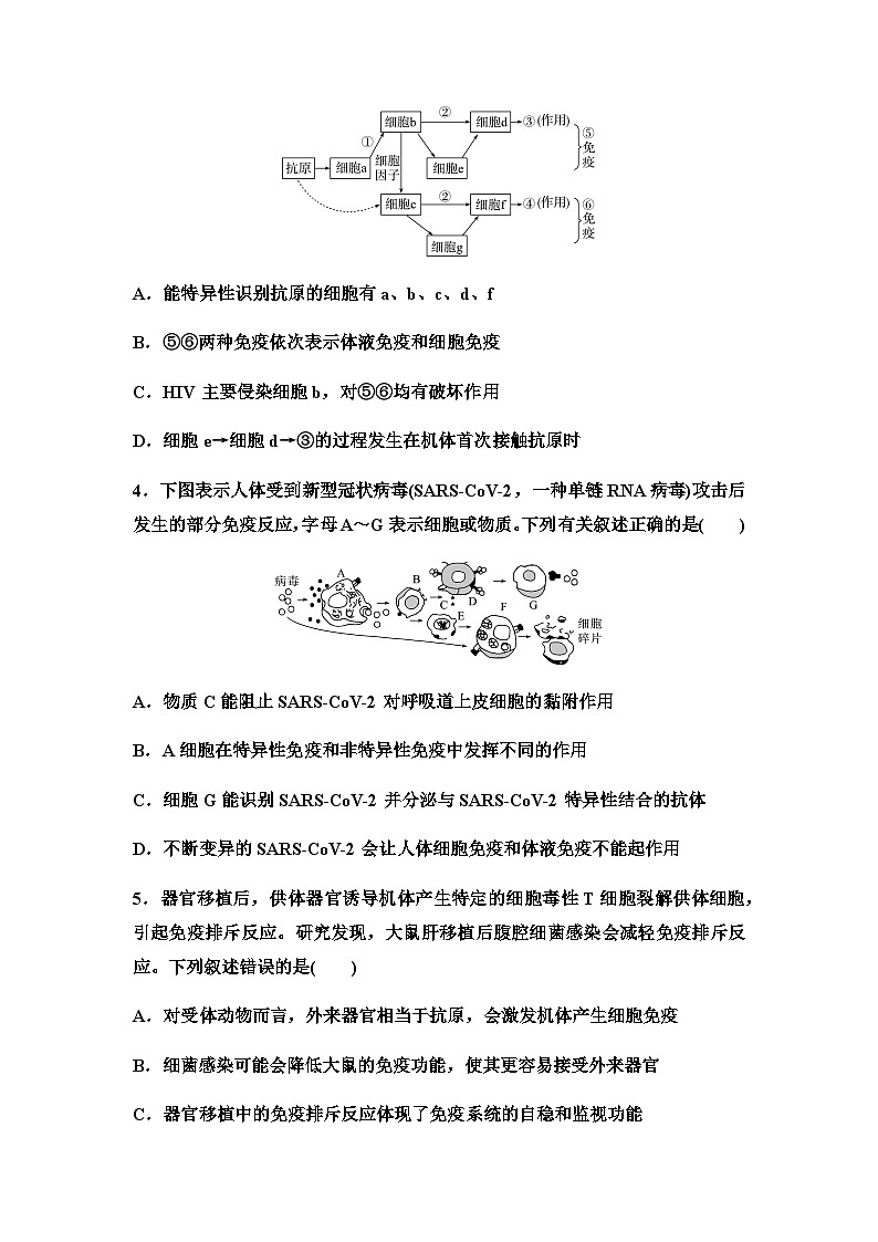 2024届高考生物一轮复习28免疫调节课时质量评价+参考答案 试卷02
