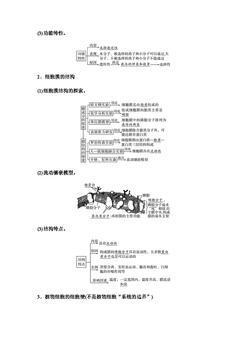 2024届高考生物一轮复习第2单元第4课细胞膜和细胞核学案02
