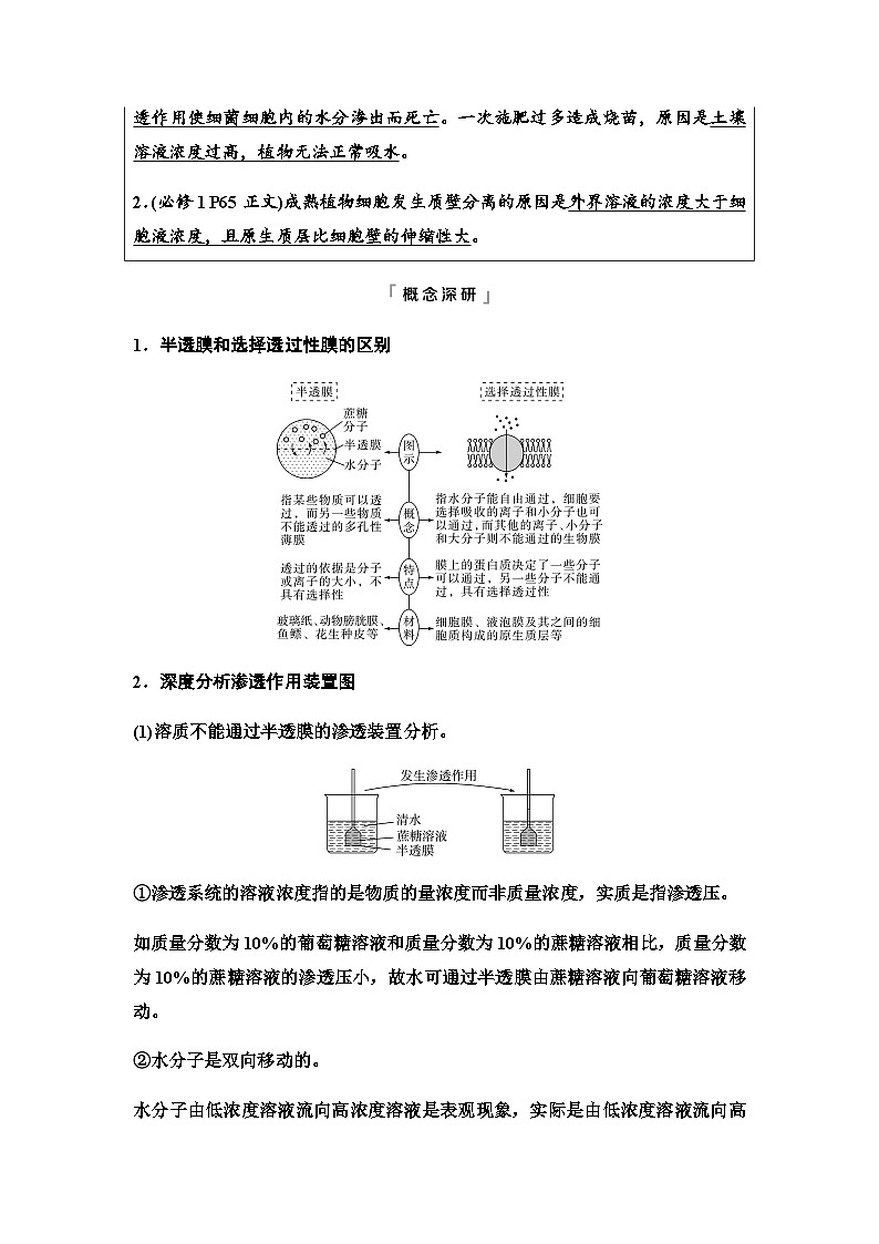 2024届高考生物一轮复习第3单元第6课细胞的物质输入和输出学案第3页