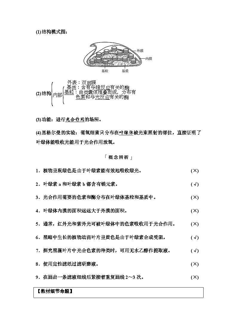2024届高考生物一轮复习第3单元第9课捕获光能的色素和结构及光合作用过程学案03