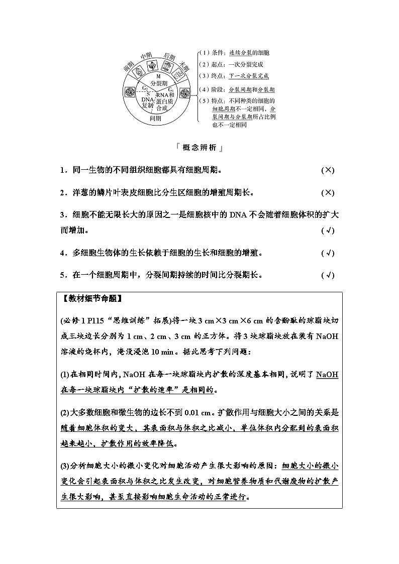 2024届高考生物一轮复习第4单元第11课细胞的增殖学案第2页