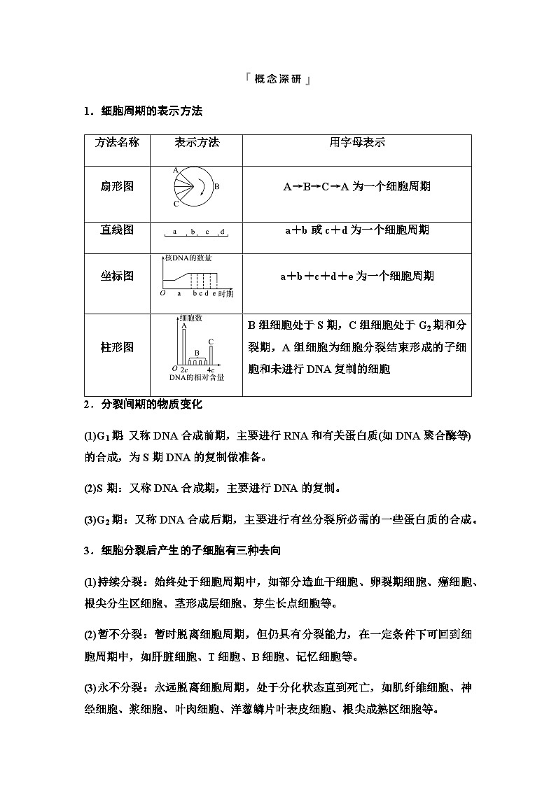 2024届高考生物一轮复习第4单元第11课细胞的增殖学案第3页