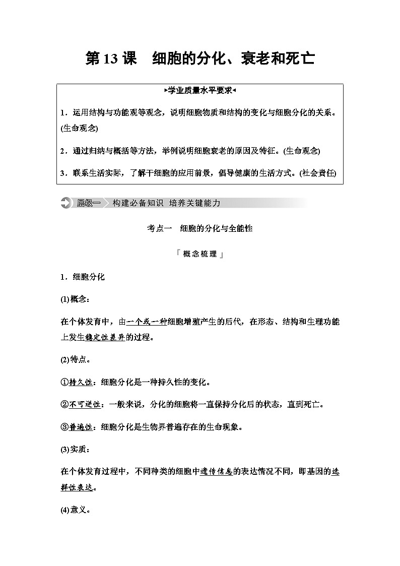 2024届高考生物一轮复习第4单元第13课细胞的分化、衰老和死亡学案01