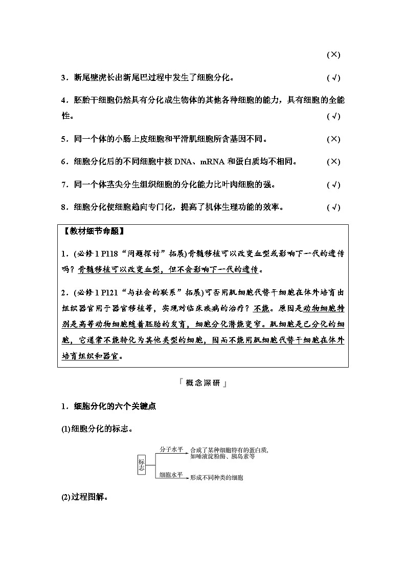 2024届高考生物一轮复习第4单元第13课细胞的分化、衰老和死亡学案03