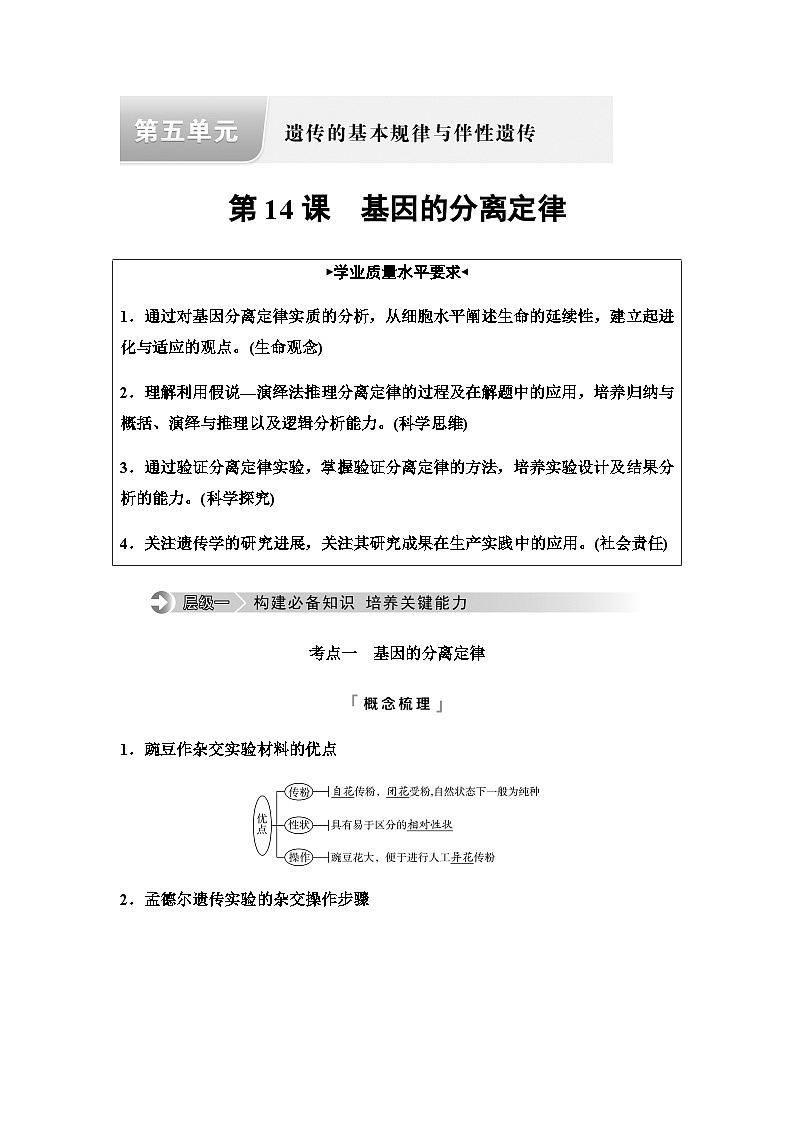 2024届高考生物一轮复习第5单元第14课基因的分离定律学案第1页
