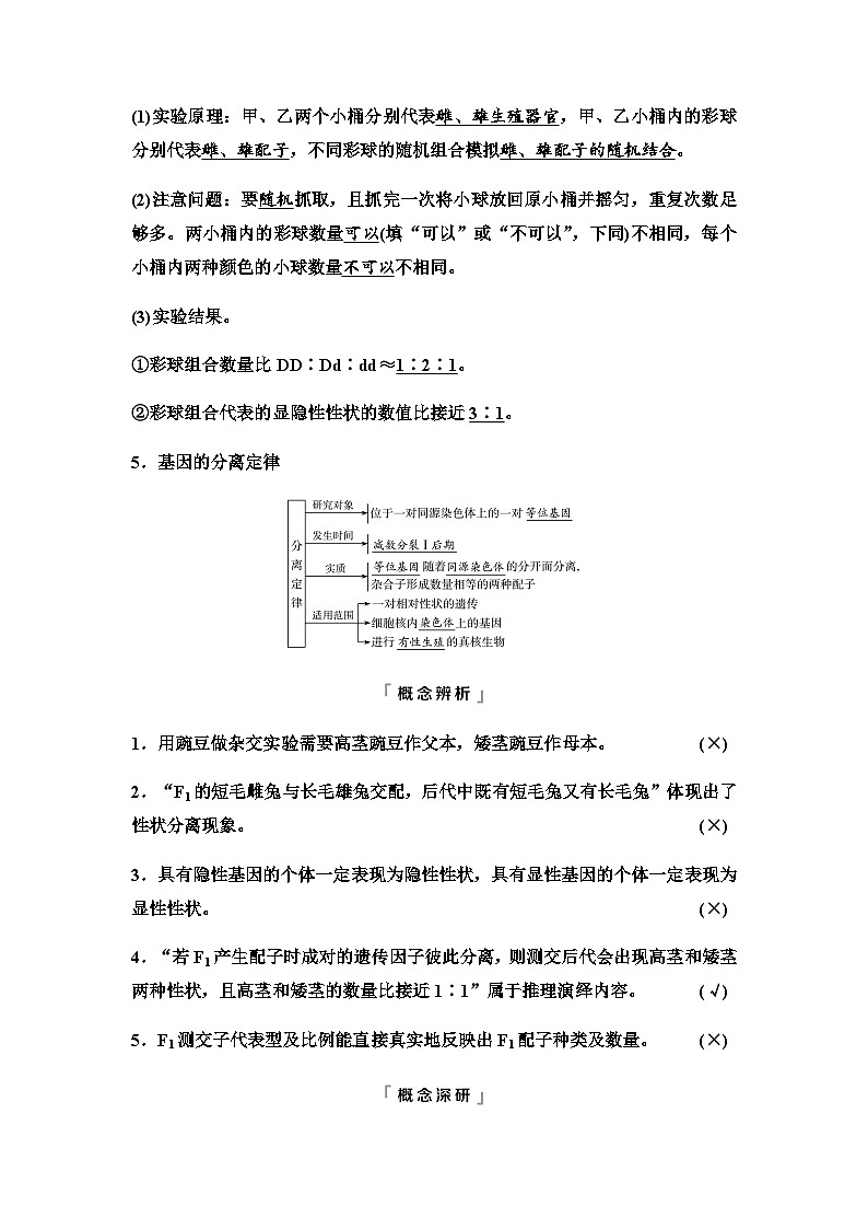 2024届高考生物一轮复习第5单元第14课基因的分离定律学案第3页