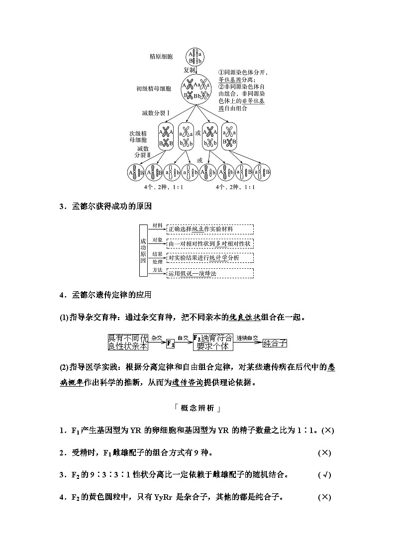 2024届高考生物一轮复习第5单元第15课基因的自由组合定律学案第3页