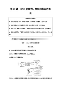 2024届高考生物一轮复习第6单元第18课DNA的结构、复制和基因的本质学案