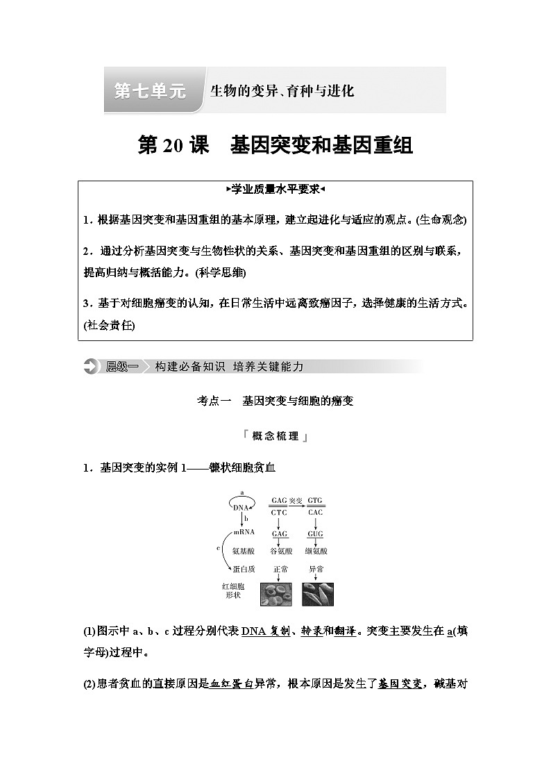2024届高考生物一轮复习第7单元第20课基因突变和基因重组学案第1页