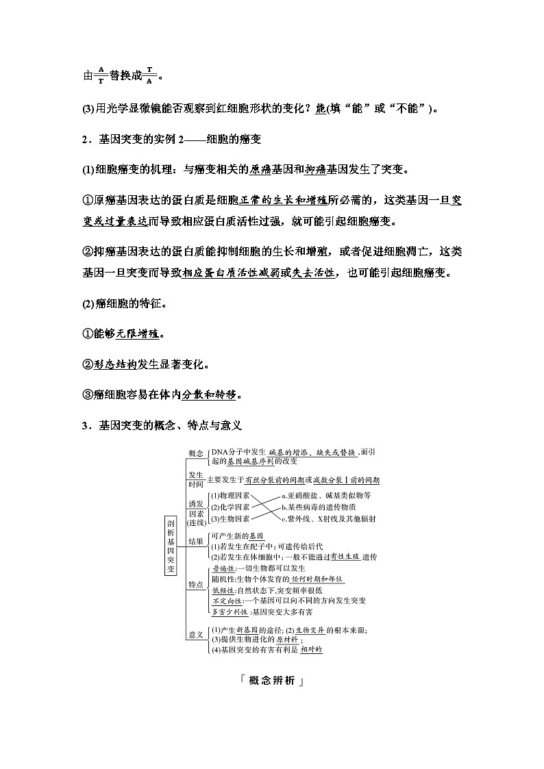 2024届高考生物一轮复习第7单元第20课基因突变和基因重组学案第2页