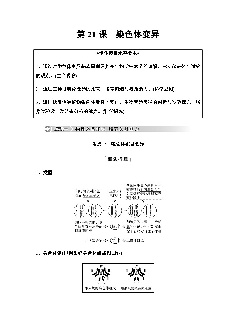 2024届高考生物一轮复习第7单元第21课染色体变异学案01