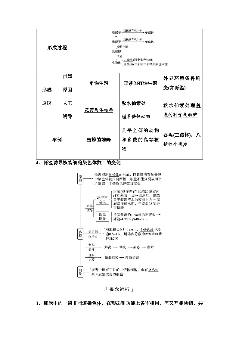 2024届高考生物一轮复习第7单元第21课染色体变异学案03