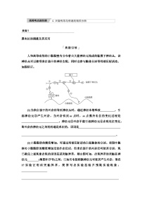 2024届高考生物一轮复习第8单元高频考点进阶课4兴奋传导与传递的相关分析学案