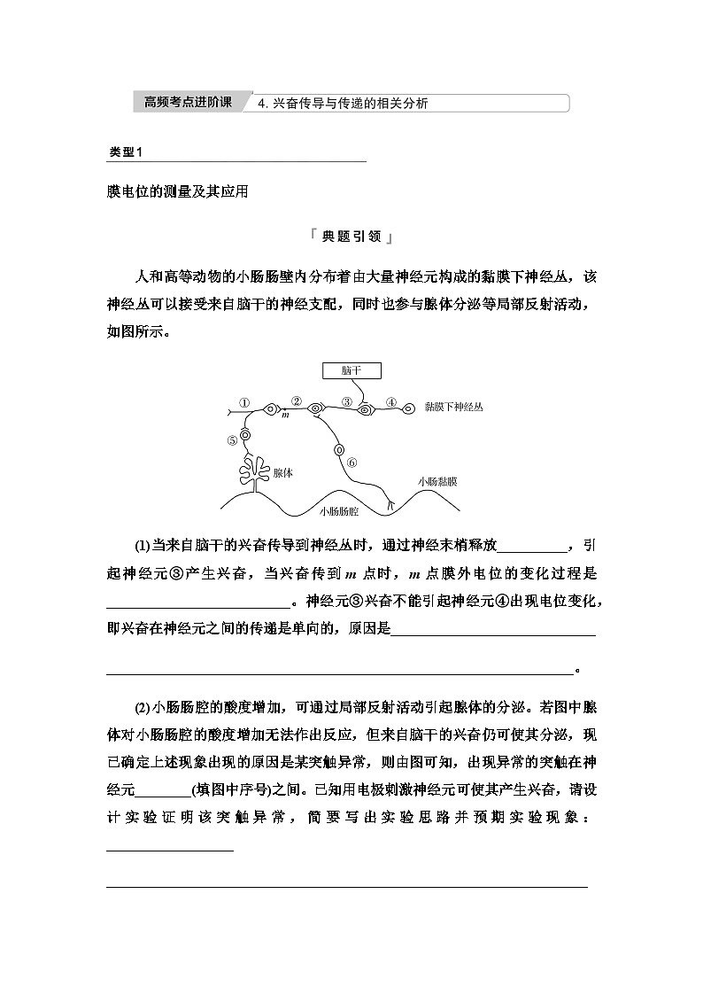 2024届高考生物一轮复习第8单元高频考点进阶课4兴奋传导与传递的相关分析学案01