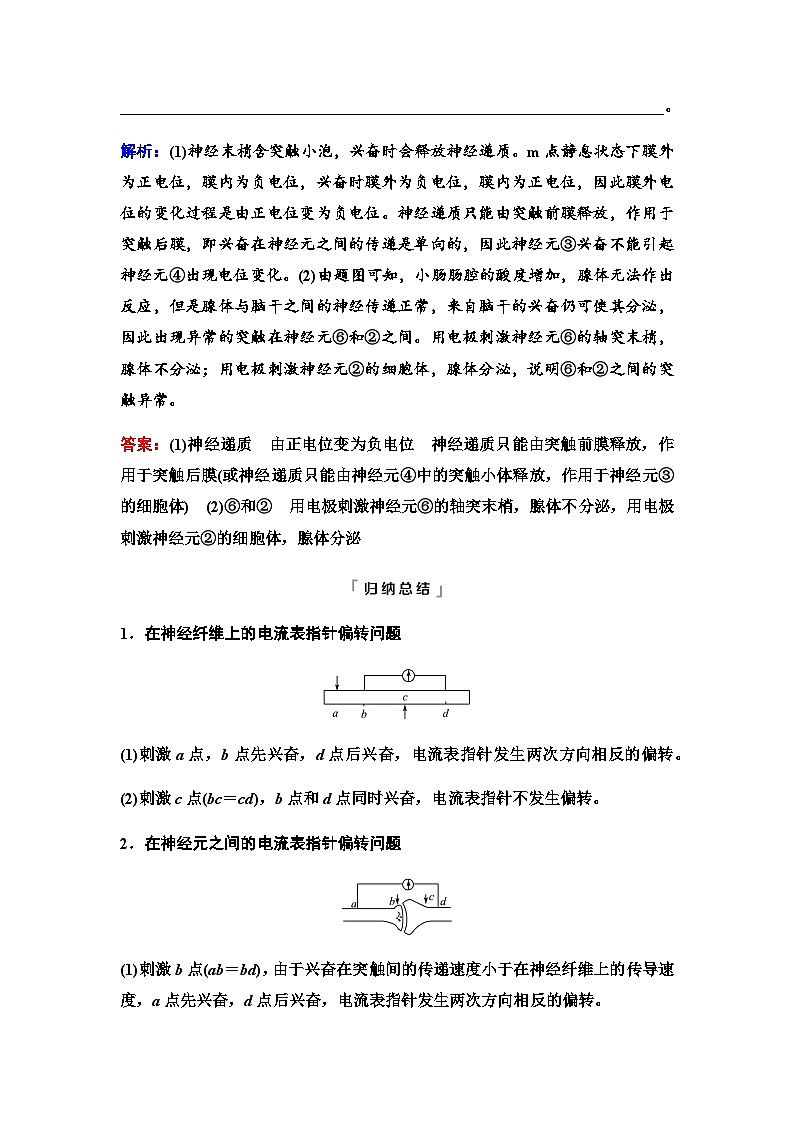 2024届高考生物一轮复习第8单元高频考点进阶课4兴奋传导与传递的相关分析学案02