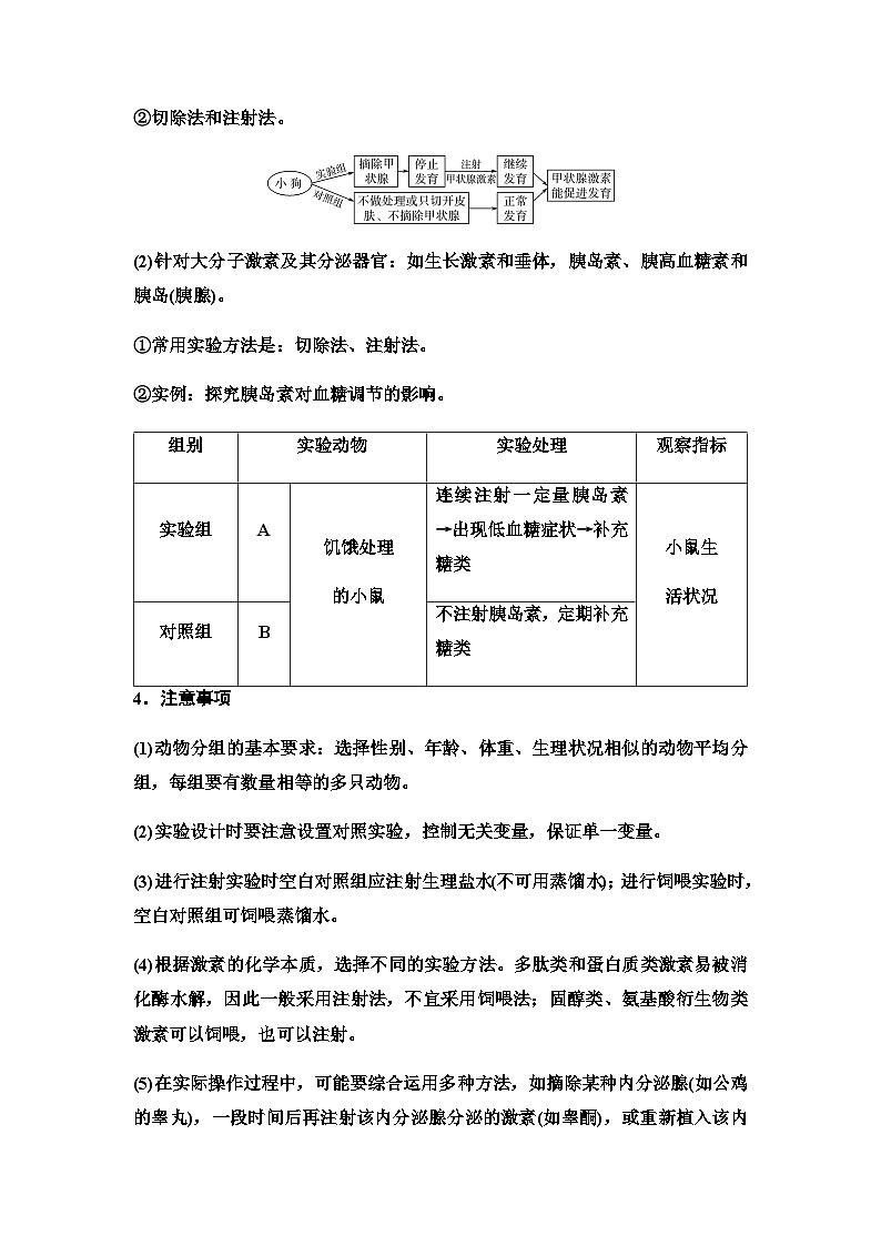 2024届高考生物一轮复习第8单元实验探究系列6动物生理相关实验探究(动物激素功能的实验探究)学案03