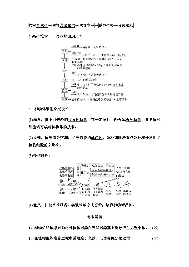 2024届高考生物一轮复习第10单元第37课植物细胞工程学案第2页