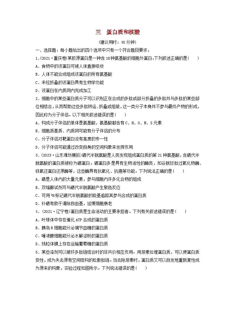 课时质量评价3蛋白质和核酸---2024版高考生物一轮总复习第1页