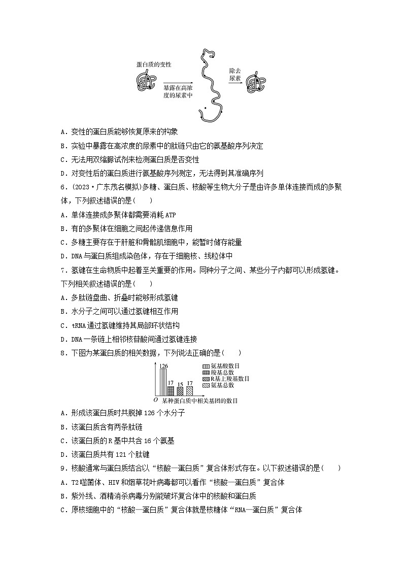 课时质量评价3蛋白质和核酸---2024版高考生物一轮总复习第2页