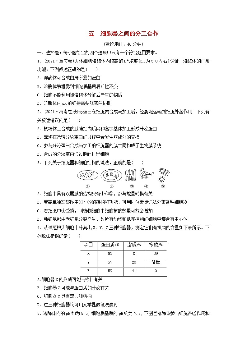 课时质量评价5细胞器之间的分工合作---2024版高考生物一轮总复习第1页