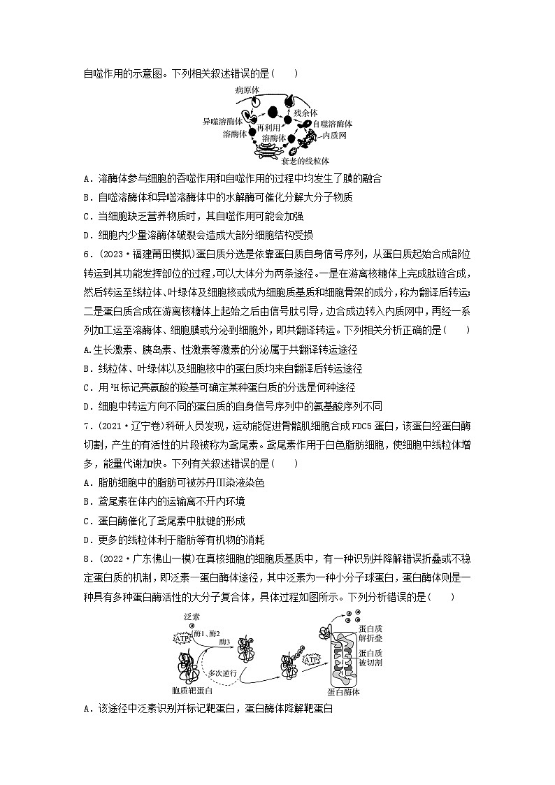 课时质量评价5细胞器之间的分工合作---2024版高考生物一轮总复习第2页