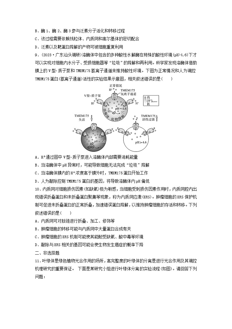 课时质量评价5细胞器之间的分工合作---2024版高考生物一轮总复习第3页
