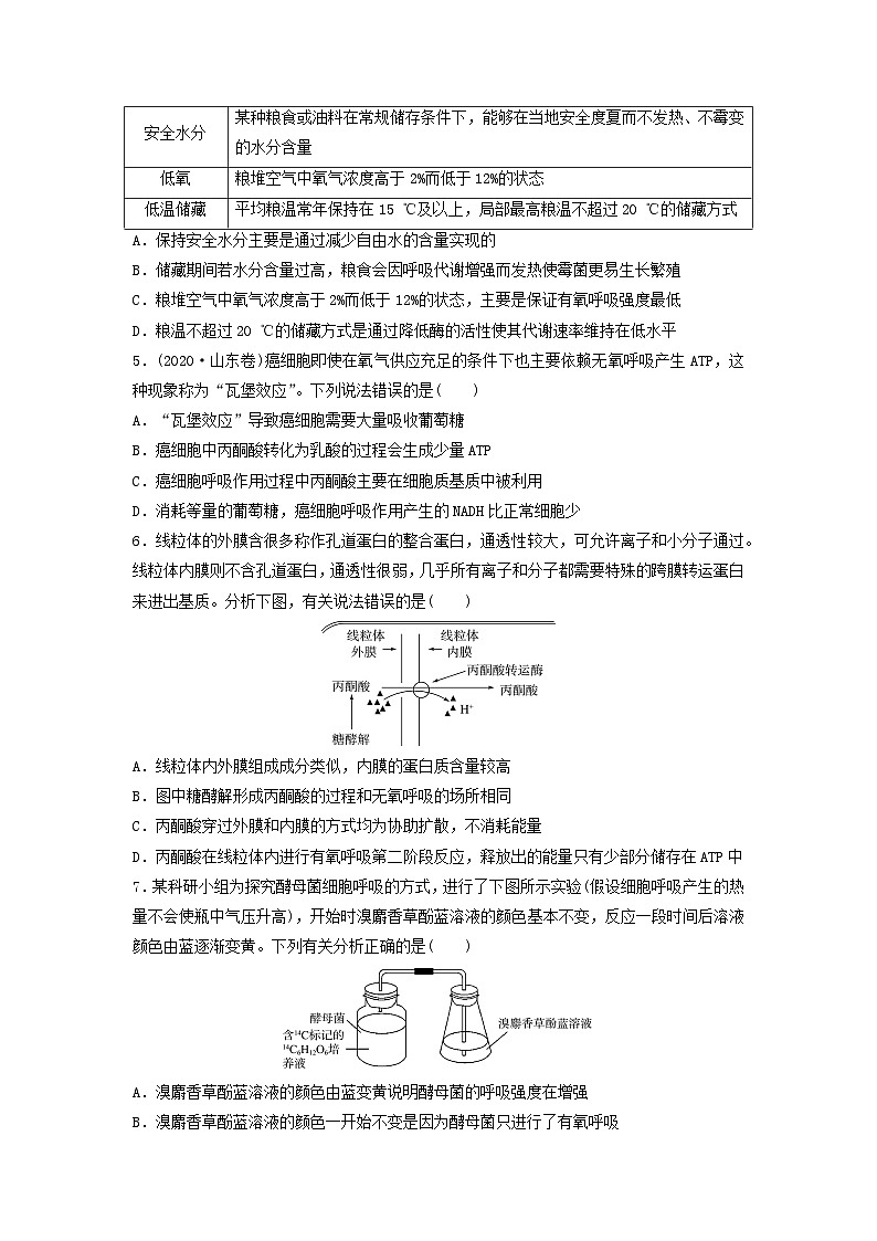 课时质量评价8细胞呼吸的原理和应用---2024版高考生物一轮总复习 试卷02