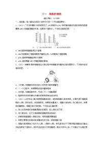 课时质量评价11细胞的增殖.---2024版高考生物一轮总复习