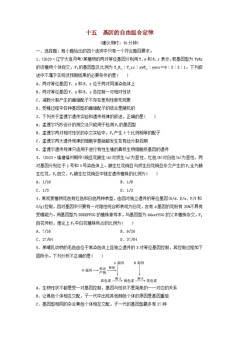 课时质量评价15基因的自由组合定律---2024版高考生物一轮总复习 试卷01