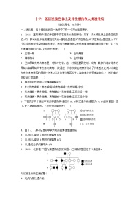 课时质量评价16基因在染色体上及伴性遗传和人类遗传病---2024版高考生物一轮总复习