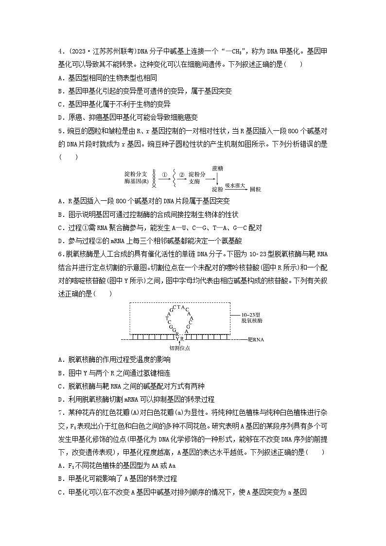 课时质量评价19基因的表达---2024版高考生物一轮总复习第2页