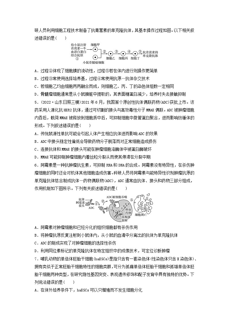 课时质量评价38动物细胞工程---2024版高考生物一轮总复习第2页
