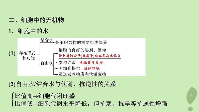 2024版高考生物一轮总复习第1单元细胞及其分子组成第2课细胞中的无机物糖类和脂质课件07