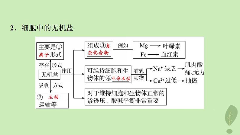 2024版高考生物一轮总复习第1单元细胞及其分子组成第2课细胞中的无机物糖类和脂质课件08