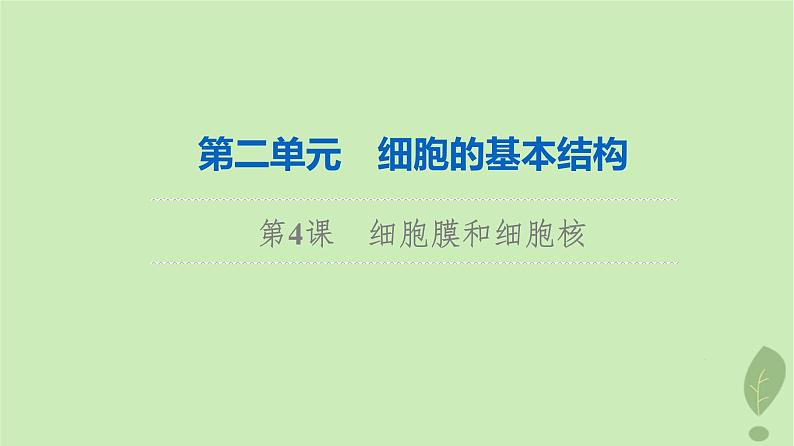 2024版高考生物一轮总复习第2单元细胞的基本结构第4课细胞膜和细胞核课件第1页