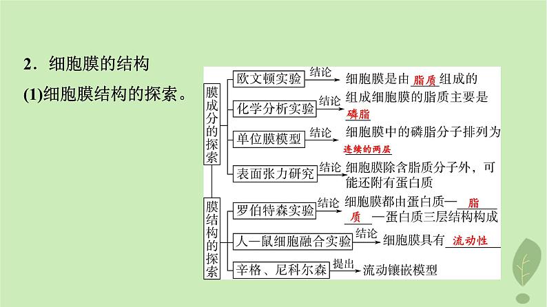 2024版高考生物一轮总复习第2单元细胞的基本结构第4课细胞膜和细胞核课件第7页