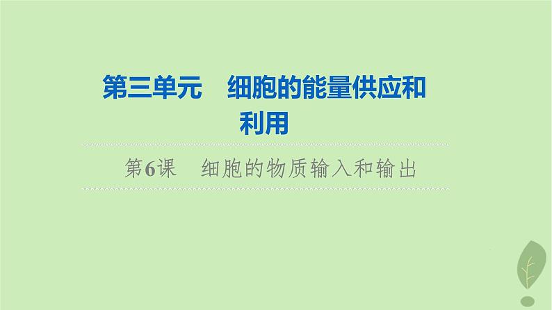 2024版高考生物一轮总复习第3单元细胞的能量供应和利用第6课细胞的物质输入和输出课件01